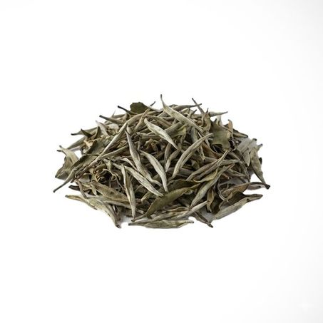CHÁ BRANCO (CAMELLIA SINENSIS) 100G