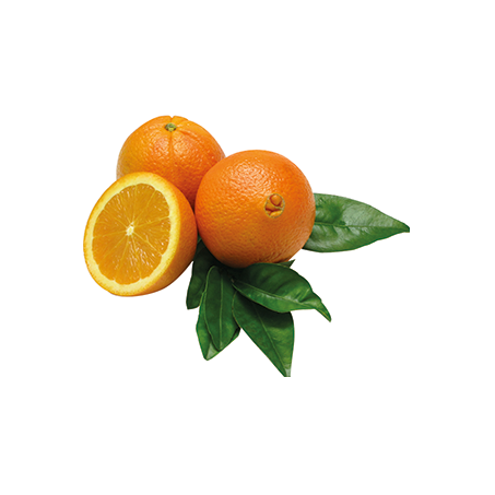 LARANJA UMBIGO NACIONAL KG