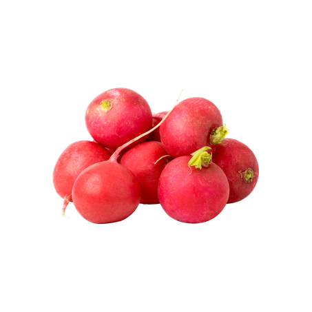 Rabanete