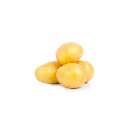 BATATA KG