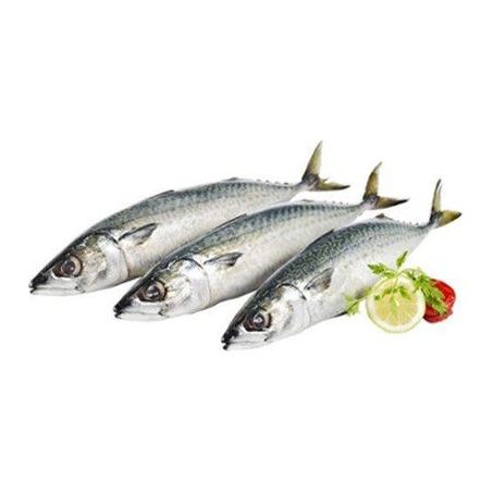 Peixe Cavalinha 800g Inteira