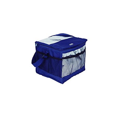 BOLSA TERMICA MOR 10L