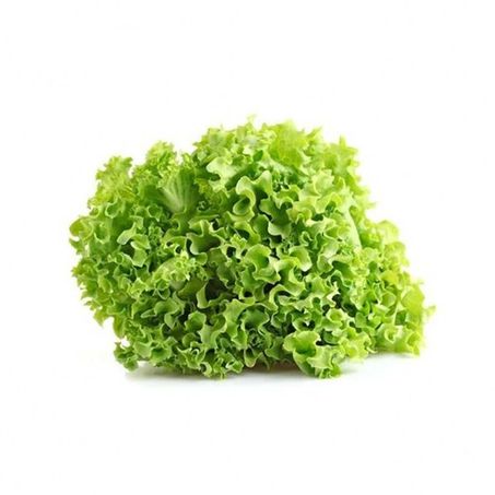 Alface Crespa Orgânica Coopeg Un