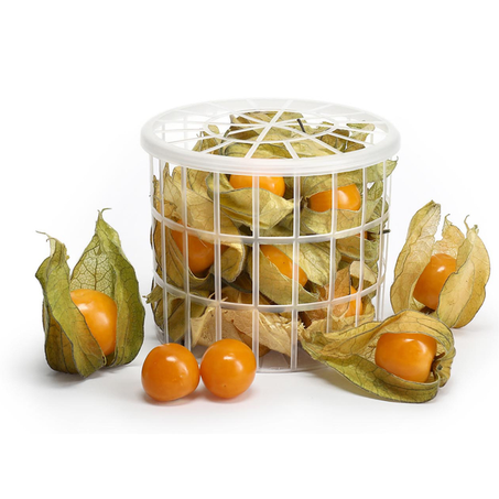 PHYSALIS MONTAIN GROWN 100G