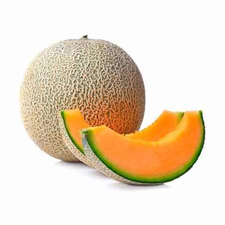 MELÃO CANTALUPE KG 360-2