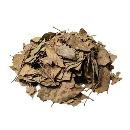 GRAVIOLA FOLHAS 100G
