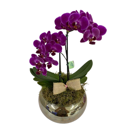 Flor arranjo color orquidea p12 2h