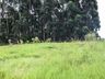OUÇA: Peperi anuncia projeto para Parque Florestal na Linha Emboaba