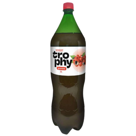 Refrigerante pet 2lt trophy guarana