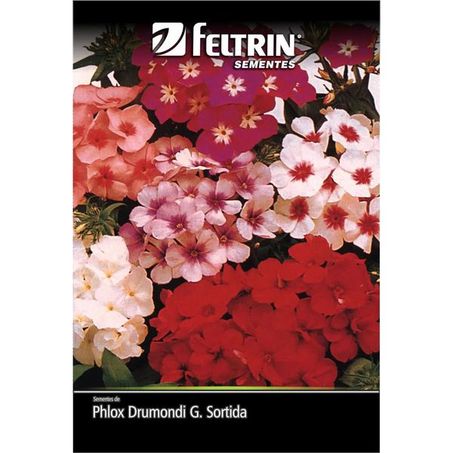 Semente Phlox Chitinha Sortida 130mg