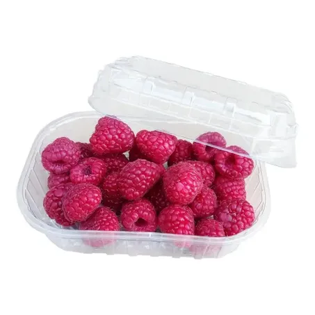 Feira Framboesa Vale do Sol 100g