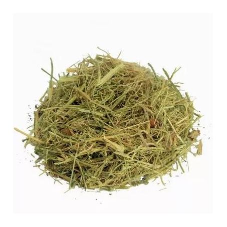Melão São Caetano 50g