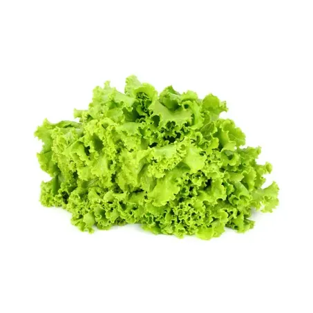 Alface Mini Crespa Orgânica Coopeg 