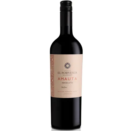 Vinho tinto amauta el porvenir 750ml