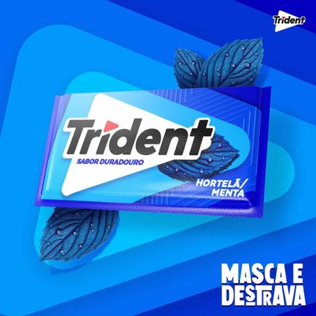 CHICLETE TRIDENT HORTELÃ 8G 360-3