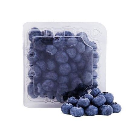Feira Mirtilo Sanjo 125g