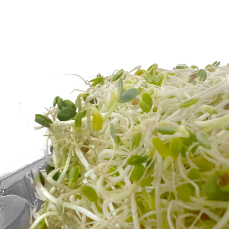Brotos de Alfafa 125g 360-3