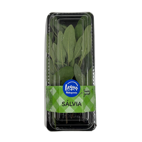 Hort acqua salvia un