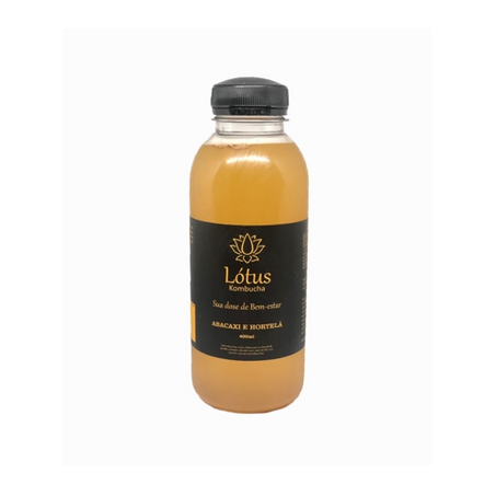 Kombucha abacaxi e hortelã lotus 400ml