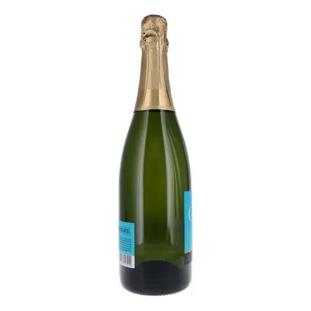 ESPUMANTE SALTON SERIES MOSCATEL 750ML 360-26