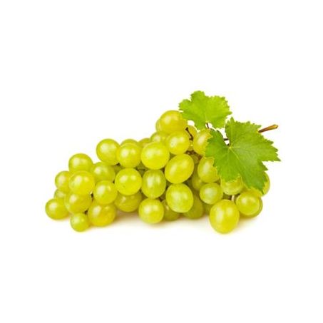 UVA ITALIA KG 